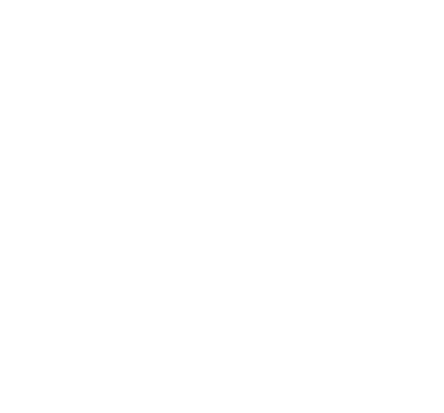 Mayankal | AI Agent, AI App & SaaS Development Company USA